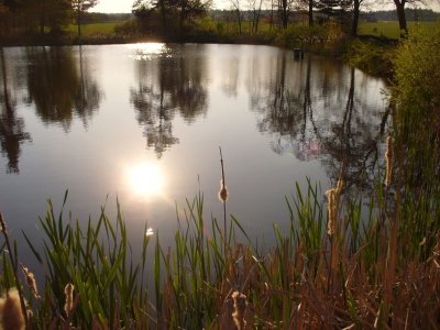 Západ Slunce na rybníkem Pocestný (Malý)