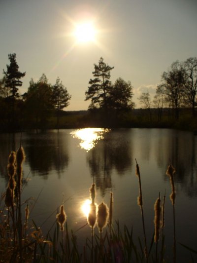 Západ Slunce na rybníkem Pocestný (Malý)